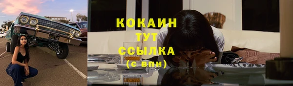 хмурый Алексин