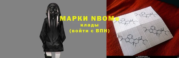 хмурый Алексин
