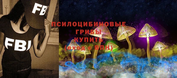 хмурый Алексин