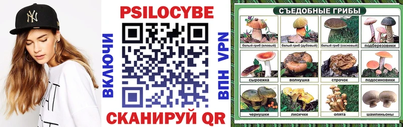 Псилоцибиновые грибы MAGIC MUSHROOMS  OMG зеркало  Динская 